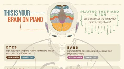 Benefits Of Music, Instruments Piano, Body Graphic, Brain Illustration, Senior Stuff, Fun Brain, Discover Music, Playing Piano, Cognitive Development