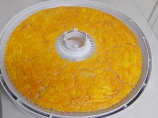 Dehydrating Eggs, Gardening Tips For Beginners, Dehydrated Vegetables, Food Dehydrator, Home Farm, Farm Ideas, Dehydrated Food, Organic Gardening Tips, Dehydrator Recipes