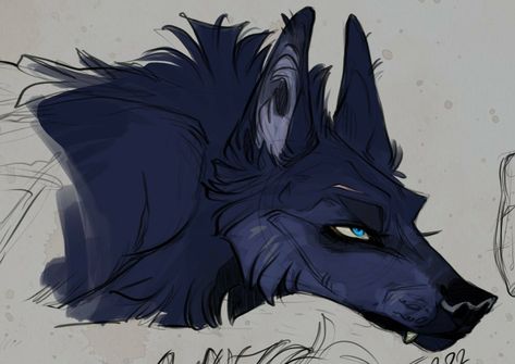 Wolf How To Draw, Person With Wolf Drawing Reference, Wolf Ears Aesthetic, Wolf Oc Drawing, Wolf Art Poses, Werewolf Drawing Reference, Wolf Head Reference, Wolf Creature Design, Black Wolf Drawing