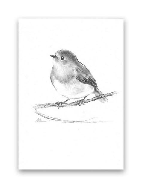 Nursery Black And White, Robin Bird Tattoos, White Bird Tattoos, Robin Tattoo, Flying Bird Tattoo, Black And White Birds, Bird Sketch, Bird Tattoo, Robin Bird