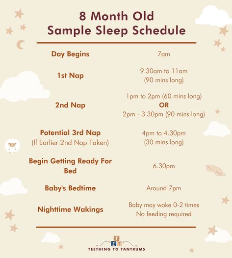 8 Month Sleep Schedule, 8 Month Schedule, 2 Month Old Schedule, 8 Month Old Schedule, 8 Month Sleep Regression, Sahm Schedule, Auntie Life, Pregnancy Timeline, Sleep Train