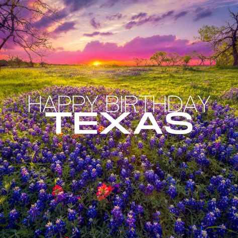 Texas Birthday Wishes, Texas Birthday, Texas Sayings, Pledge Of Allegiance To The Texas Flag, Texas Monthly, Texas Meme, Texas, Fun Facts, Happy Birthday