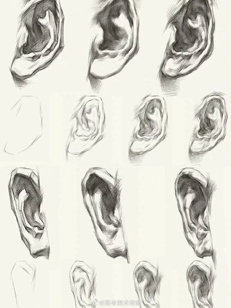 Ear Sketch, Ear Picture, How To Draw Ears, Facial Anatomy, Human Ear, Art Process, Cool Pencil Drawings, Anatomy For Artists, Facial Features