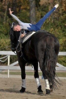 Vaulting2 Equestrian Vaulting, Vaulting Equestrian, Riding Ideas, Horse Vaulting, Trick Riding, Equestrian Helmet, Riding Hats, On Horseback, Equestrian Sports