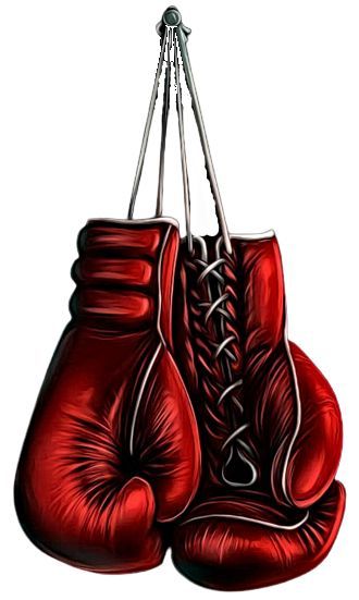 Martial Arts Tattoos, Boxing Tattoos, Red Boxing Gloves, Boxing Rings, Diy Bouquet Wrap, 8. Mart, Sport Cakes, Football Cake, Creative T Shirt Design