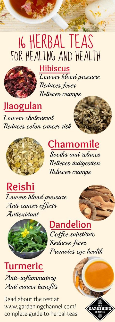 Herbal teas for healing and health.  Learn about which herbal tea is right to treat whatever ails you.  16 herbal teas and their health benefits. Types Of Teas, Matcha Benefits, Lemon Benefits, Coconut Health Benefits, Stomach Ulcers, Benefits Of Coconut Oil, Herbal Teas, Types Of Tea, Lower Cholesterol