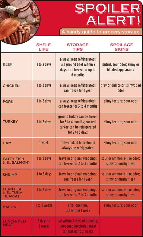 Food Shelf Life, Life Made Simple, Food Shelf, Cooking Measurements, Cooking 101, Food Charts, Food Info, Cooking Basics, Healthy Smoothie