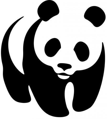 Wwf Logo, Logo Meaning, Panda Names, History Logo, Blue Man Group, London Zoo, Bold Fonts, Giant Panda, Silhouette Art