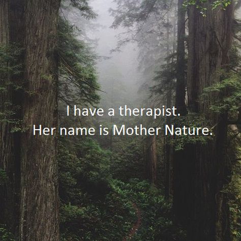 Love Nature Quotes, Nature Lover Quotes, Forest Quotes, Mother Nature Quotes, Earth Quotes, Place Quotes, Quotes Nature, Therapy Quotes, Lovers Quotes