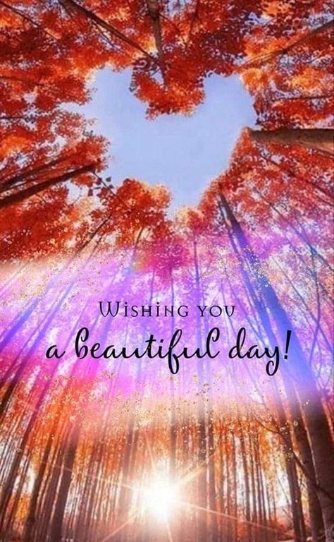 Hope You Have A Beautiful Day, Have A Beautiful Day Friend, Wishing You A Beautiful Day Quotes, Wishing You A Great Day, Have A Beautiful Day My Love, Have A Wonderful Day Images, Have A Beautiful Day Images, Its A Beautiful Day Quotes, Wishing You A Beautiful Day