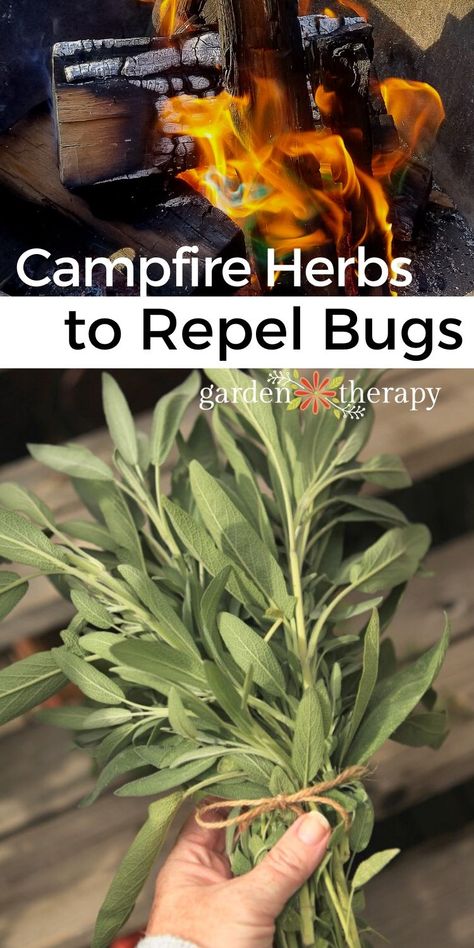 Burn Herbs In Your Campfire to Repel Mosquitoes Naturally Herbs To Burn, Bungalow Farmhouse, Diy Bug Repellent, Mosquito Repellent Candle, Mosquito Repellent Homemade, Diy Mosquito Repellent, Farmhouse Landscape, Natural Bug Repellent, Natural Mosquito Repellant