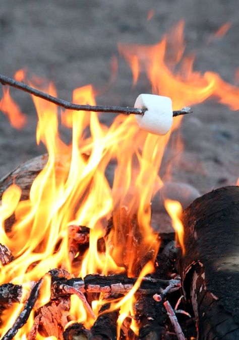 Toasty marshmallows. Bonfire Night Wedding, Toasting Marshmallows, Camping Desserts, Roasting Marshmallows, Campfire Cooking, Open Fire, Toasted Marshmallow, Camp Cooking, Camping Fun