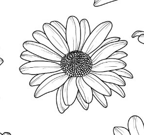 Daisy Tattoo Stencil Outline, Daisy Tattoo Outline, Daisy Tattoo Designs Drawings, Shasta Daisy Tattoo, Daisy Head Tattoo, Daisy Tattoo Black And White, Gerber Daisy Tattoo Black And White, Daisy Outline Simple, Tattoos Stencils