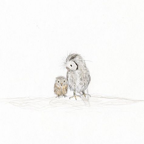 Catherine Rayner on Instagram: “Dennis and Denise. 🤍🤍 I think inspired by my little companion (see previous post). This owlet looks cuddly too. Hope they make you smile…” Catherine Rayner, Beatles Art, You Smile, Make You Smile, Owls, Picture Book, Bugs, Art Inspiration, Birds