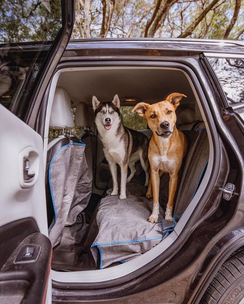 Traveling With Dogs In Car, Dog Road Trip, Dog In Car, Car Accessories Aesthetic, Dog Car Travel, Traveling With Pets, Road Trip With Dog, 2024 Manifestation, Dog Travel Accessories