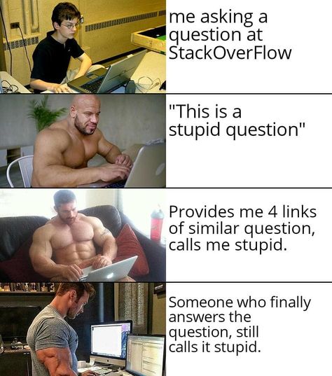 Maybe the question is stupid. Sums up StackOverFlow for me.(found via @browserling).... Late Stage Capitalism, Memes Ramdom, Fortnite Memes, Social Norms, Ride The Lightning, Wheel Of Time, Free Gift Cards, Haha Funny, Computer Science