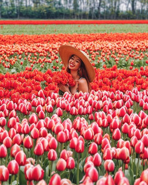 The brightest colours fill my head. 🌷 Kick starting our Netherlands journey from the incredible @famflowerfarm. So glad we got to catch the… Types Of Tulips, Spring Photoshoot, Sunflower Pictures, Flower Photoshoot, Tulip Festival, Tulips Garden, Farm Photo, Tulip Fields, Peonies Garden