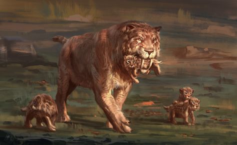 Saber tooth mom traveling with her cubs. Probably on their way to be introduced to the pack. Prehistoric Wildlife, Prehistoric World, Ark Survival Evolved, Big Cats Art, Ancient Animals, Prehistoric Art, Paleo Art, Extinct Animals, Dinosaur Art