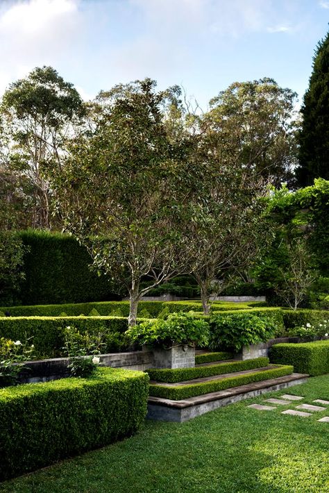 Japanese box hedging softens the garden steps. | Photo: Nicholas Watt | Story: Belle Hedges Landscaping, Sydney Gardens, Hedging Plants, Topiary Garden, Sloped Garden, Australian Garden, Garden Steps, Coastal Gardens, Side Garden