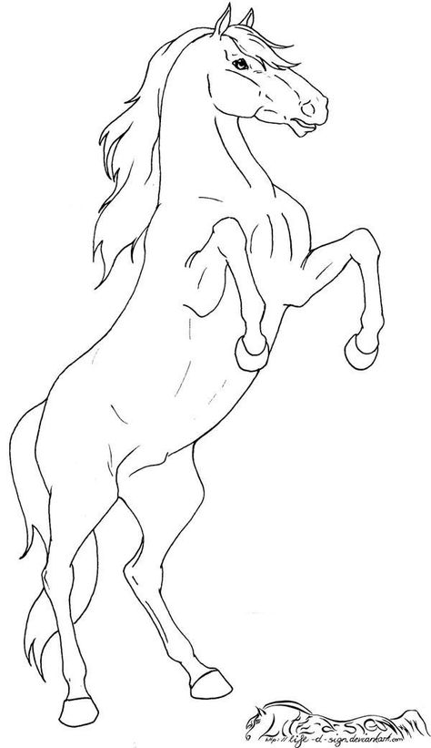 Horse Art Drawing, Horse Coloring Pages, Horse Drawings, Horse Coloring, Horse Art, Not Allowed, A Drawing, A Horse, Animal Drawings