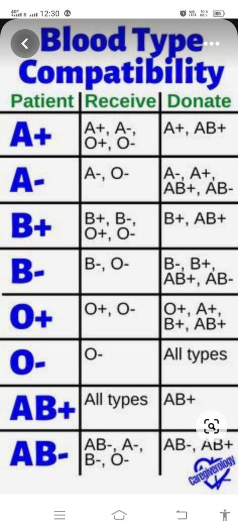 Blood Type Chart, Blood Types, Type Chart, Biology Facts, Medical Student Study, Medical Facts, Medical School Inspiration, Nursing School Notes, Medical School Studying