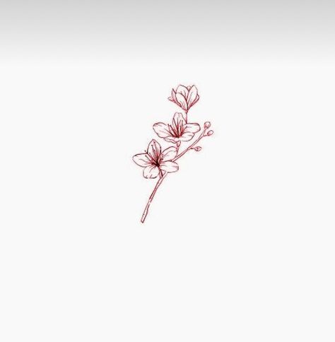 Manuka Flower Tattoo, Vanilla Flower Tattoo, Burgundy Flower Tattoo, Tansy Flower Tattoo, Minimal Cherry Blossom Tattoo, Bougainvillea Tattoo, Cherry Blossom Line Art Tattoo, Red Chinese Flower Tattoo, Line Tattoo Arm