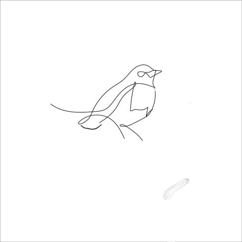 One Line Sparrow Tattoo, Bluebird Outline Tattoo, Dainty Robin Tattoo, Fineline Robin Tattoo, Sparrow On A Branch Tattoo, Robin Tattoo Small Simple, Robin Outline Tattoo, Fine Line Blue Bird Tattoo, Fine Line Bluebird Tattoo