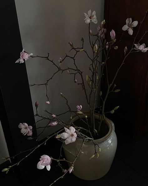 Marie von Behrens (@mvb) • Instagram photos and videos Marie Von Behrens, Japan Aesthetic, Flower Therapy, Ikebana, Aesthetic Photo, My Flower, Pretty Flowers, Dark Aesthetic, Flower Power