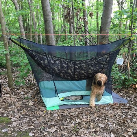 Pet Palace | Cave Creek Hammock Waterproof Floor, Cave Creek, Hammock Camping, Waterproof Flooring, Fashion Socks, Happy Campers, Camping Hacks, Outdoor Fun, Dog Friendly