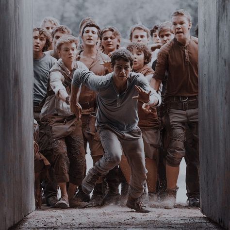 The Maze Runner Widget, Maze Runner Aesthetic Pictures, Maze Runner Pictures, Maze Runner Oc, Maze Runner 1, New Hunger Games, Maze Runner Characters, Maze Runer, Dystopian Aesthetic