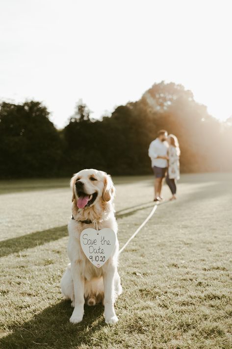 Photoshoot Ideas With Dogs, Couple Photoshoot With Dog, Photoshoot With Dog, Summer Engagement Shoot, Golden Hour Couple, Couple Dog, Save The Date Pictures, Engagement Announcement Photos, Fall Engagement Pictures