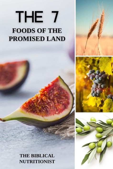 What food did they eat in Bible times? God created food for the Israelites: to always be reminded of His promises, provision, and grace. Today you'll learn about 7 foods from the Promised Land. These nutrient rich foods delight the palate, invigorate the cells, and rejuvenate our stamina. Find freedom in eating God's way! Learn the amazing health benefits of wheat, barley, grapes, figs, pomegranates, olives, and dates! My website is filled with recipes with these nutritious ingredients! Biblical Food, Biblical Diet, Bible Food, Bible Diet, Barley Recipe, Shabbat Dinner, Daniel Fast Recipes, Wheat Berries, Daniel Fast