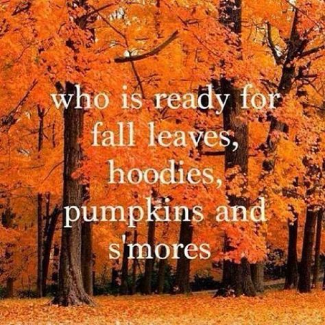 I am so ready for fall ❤️ Seasons Quotes, Fall Quotes, Autumn Quotes, Life Quotes Love, Fall Time, Ready For Fall, Autumn Scenery, Happy Fall Y'all, Autumn Beauty