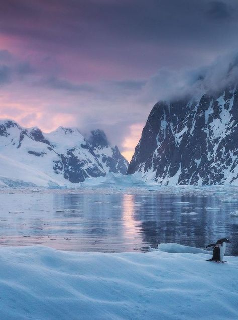 Lemaire Channel Sunset (Antarctica) by Daniel Kordan   Antarctica Travel Destinations | Antarctica Honeymoon | Antarctica Vacation | Antarctica Photography | Antarctica Cruise | Antarctica Holiday | Antarctica Trip #travel #honeymoon #vacation #backpacking #budgettravel #offthebeatenpath #bucketlist #wanderlust #Antarctica #visitAntarctica #TravelAntarctica #AntarcticaTravel Antarctica Travel, Arctic Landscape, Biome, Snow And Ice, Places Around The World, Travel Bucket, Travel Aesthetic, Dream Vacations, The Snow