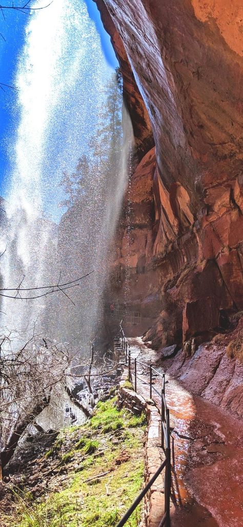 Zion Emerald Pools, Kolob Canyon Utah, Zion Trails, Zion National Park Narrows, Emerald Pools Zion, Zion Photography, The Narrows Zion National Park, Hikes In Zion National Park, Zion Camping