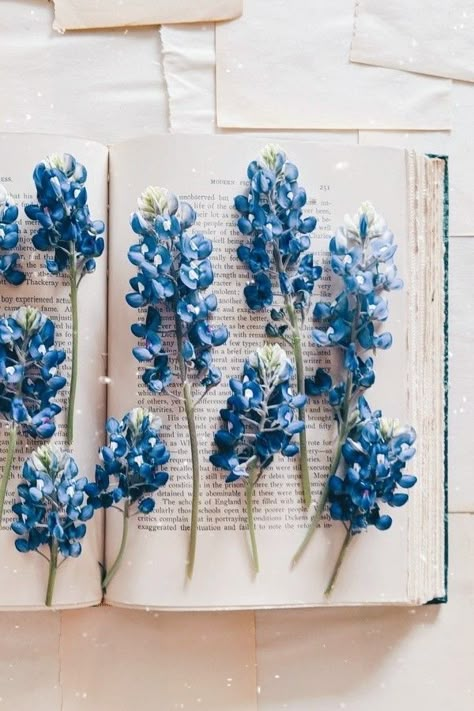 Blue Flowers And Books Aesthetic, Light Blue Victorian Aesthetic, Blue Books Aesthetic Pastel, Light Blue Books Aesthetic, Spring Blue Aesthetic, Blue Artsy Aesthetic, Blue Book Aesthetic Wallpaper, Light Blue Cottage Core Aesthetic, Blue Light Academia Aesthetic