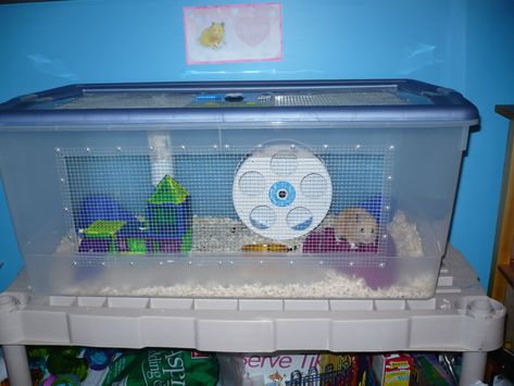 DIY hamster bin cage. Diy Hamster Cage, Bin Cage, Hamster Bin Cage, Cool Hamster Cages, Rat Care, Cage Hamster, Hamster Diy, Hamster Life, Hamster Habitat