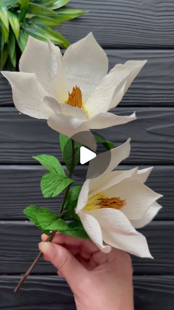 Crepe Paper Flowers Tutorial, Paper Craft Tutorials, Crepe Paper Flowers, Giant Paper Flowers, Paper Flower Tutorial, Crepe Paper, Diy Wedding Decorations, Craft Tutorials, Magnolia