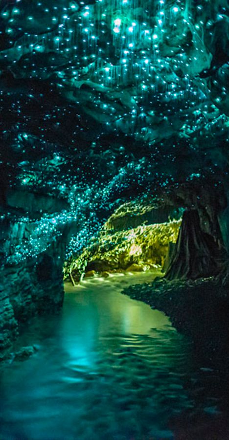 Waitomo Glowworm Caves near Otorohanga on New Zealand's North Island • photo: Kristin Pierce on Flickr Glowworm Caves, The Tourist, 웃긴 사진, Magical Places, Places Around The World, Tourist Attraction, Vacation Spots, Dream Vacations, Travel Dreams