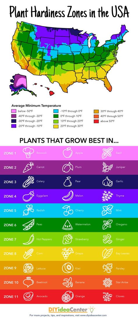 The Plant Hardiness Zones (Free Printable) is your guide to finding which plants do best in America. Follow the colored zones to select your plants. Planting Zones Map, Garden Zones, Front Yard Flowers, Plant Hardiness Zone Map, Plant Activities, Map Worksheets, Plant Zones, Gardening Zones, Garden Fun