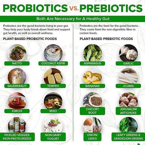 Plant Romance on Instagram: “What kinda of probiotics do you consume? 🧬 _  Your body works more optimally with a diverse array of beneficial bacteria living in your…” Gut Friendly Food, Probiotics Food, Benefits Infographic, Prebiotic Probiotic, Probiotic Food, Best Probiotic Foods, What Are Probiotics, Probiotics Prebiotics, Prebiotic Foods