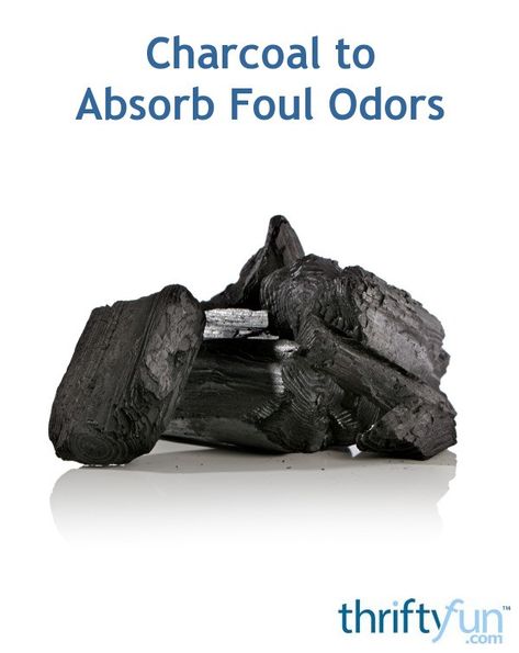 Aside from using charcoal for grilling fishes, meat, corn, charcoal also can be used as foul odor absorber. If there is a foul odor inside your living room, bedroom, bathroom, kitchen or even inside your fridge, you can use charcoal to absorb the odor. Charcoal For Odor Removal, Charcoal Odor Absorber Diy, Odor Absorber Diy, Room Deodorizer, Odor Absorber, Lump Charcoal, Charcoal Briquettes, Moisture Absorber, Urine Smells