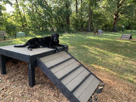 Dog Agility Park | Dog Playground | Dog Park Equipment Large Dog Outdoor Play Area, Dog Climbing Structure, Outdoor Dog Area Play Spaces, Dog Playground Backyard Diy, Backyard Dog Park, Dog Playground Ideas, Dog Park Ideas, Doggie Playground, Diy Dog Playground