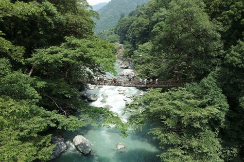 Iya Valley, Tokushima, Favourite Characters, Go Hiking, Japanese Culture, The Natural, Beautiful World, Japanese Traditional, Favorite Things List