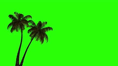 Trees In The Wind, Lego Hotel, Tropical Island Beach, Green Screen Backgrounds, Best Friends Aesthetic, Beach Ready, Tropical Islands, The Wind, Stock Video