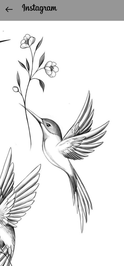 Hummingbird Neotraditional, Bird Holding Flower Tattoo, Hummingbird Tattoo Stencil, Birthday Tattoo Ideas, Tattoo Artist Business Cards, Flor Tattoo, Stylish Nails Designs, Hummingbird Tattoo, Artist Business Cards