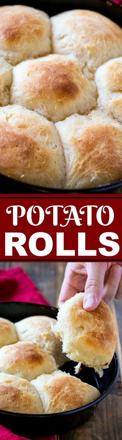 These Potato Rolls are made from leftover mashed potatoes. Mashed Potato Rolls, Potato Water, Potato Rolls Recipe, Potato Rolls, Potato Roll, Biscuit Rolls, Leftover Mashed Potatoes, Peter Cottontail, Mashed Potato