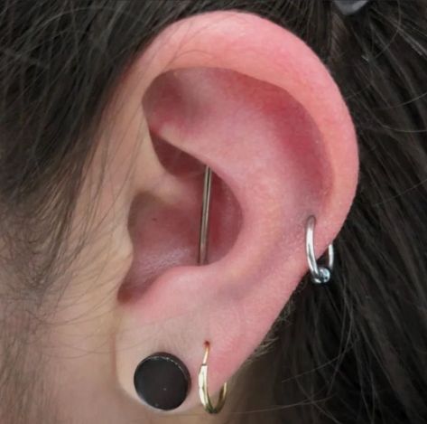 OBSESSED WITH THIS VERTICAL INDUSTRIAL PIERCING 😍  🪡 BY @shinysharpthings  Soho, Union Square, and Williamsburg  11AM-9PM 7 DAYS A/W🕘 WALK-INZ OR BOOK ONLINE..📕 TATTOOS & PIERCINGS, NO ATTITUDE, NO MISERABLE HOOPS TO JUMP THROUGH....🚫  WALK-INZ WELCOME OR BOOK ONLINE AT  ⚔️livebytheswordtattoo.com⚔️ . . . . #verticalindustrialpiercing #industrialpiercing #verticalindustrial #piercing #unionsquare #nyc Vertical Industrial Piercing, Vertical Piercing, Vertical Industrial, Ear Styling, Cool Ear Piercings, Ear Style, Industrial Piercing, Union Square, Tattoos And Piercings