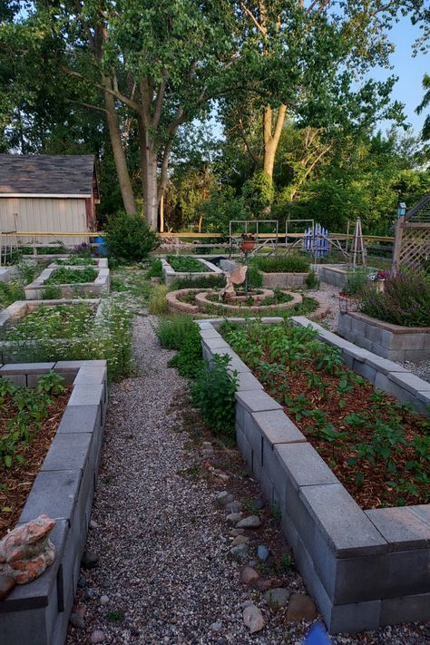 Nice view of my concrete block raised garden beds Bessa Block Garden, Raised Beds On Concrete, Garden Beds On Concrete, Cinderblock Raised Garden Beds, Concrete Garden Beds, Block Raised Garden Beds, Cinder Block Raised Garden Bed, Concrete Bed, Raised Bed Garden