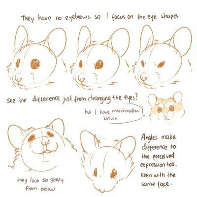 Maus Illustration, Sketchbook Ideas, Poses References, Animal Sketches, Anatomy Art, 영감을 주는 캐릭터, Facial Expressions, Rodents, Digital Art Tutorial